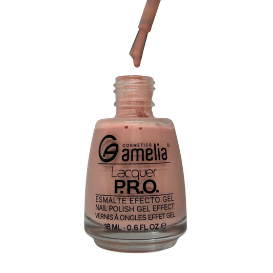 Vernis classique AMY